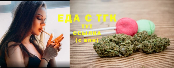 индика Ступино