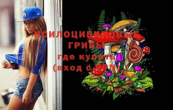 PSILOCYBIN Богородицк