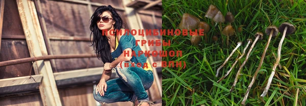 мяу мяу мука Беломорск