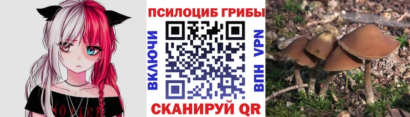 купить закладку  Бугульма  Галлюциногенные грибы ЛСД 